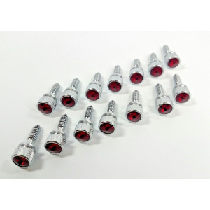 (Set/14) Dash Panel Screws w/ Red Jewel Knurled Chrome for 1987-2000 Peterbilt - GoodSpeedUSA
