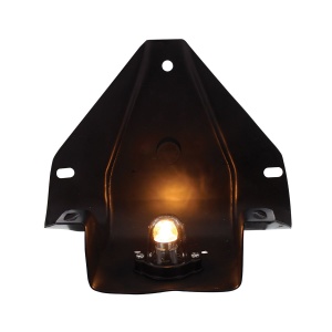 Rear License Plate Bracket w/Light for 1960-66 Chevy Truck